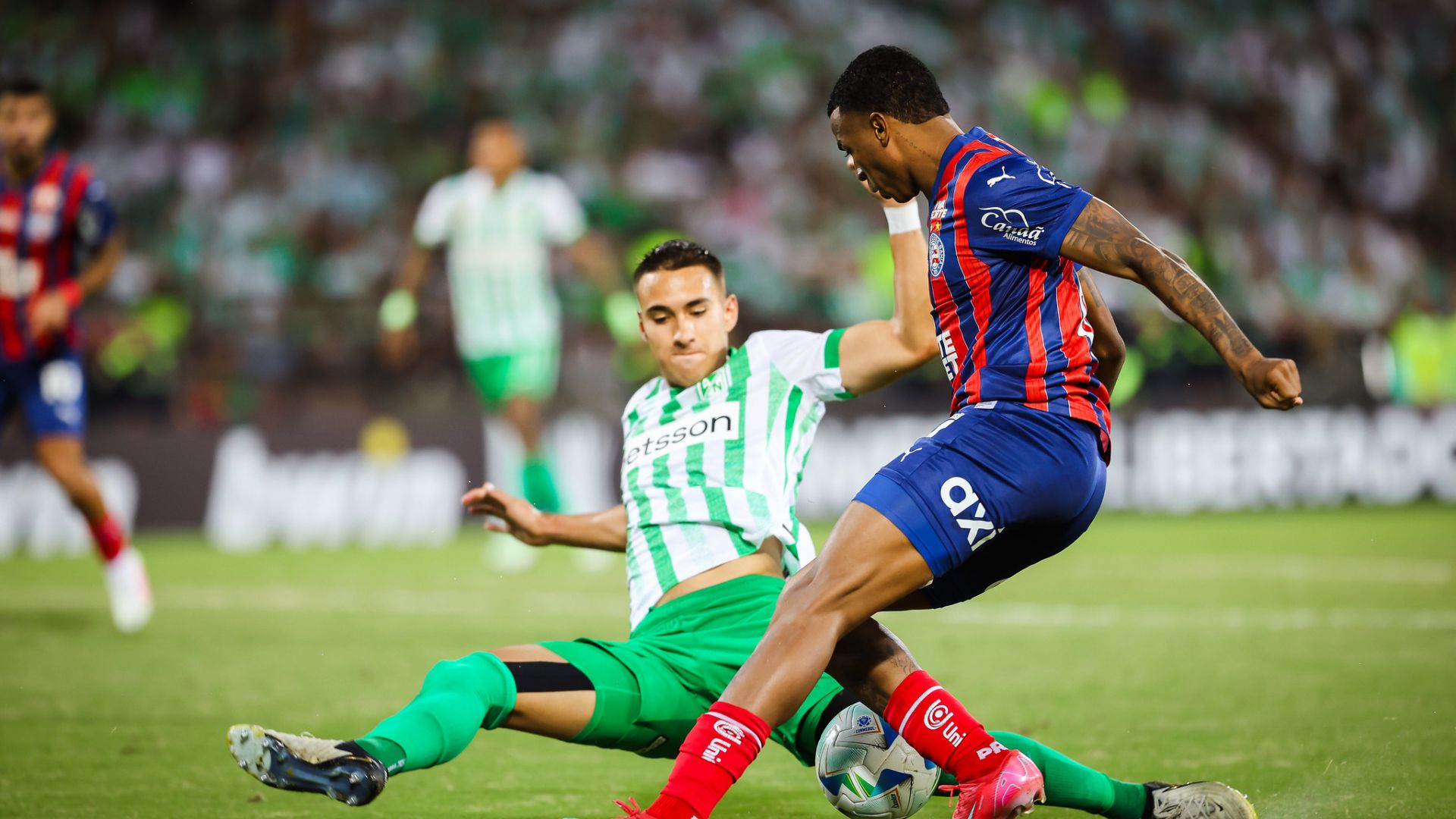 Atlético Nacional celebra vitória sobre o Bahia na Copa Libertadores 2025