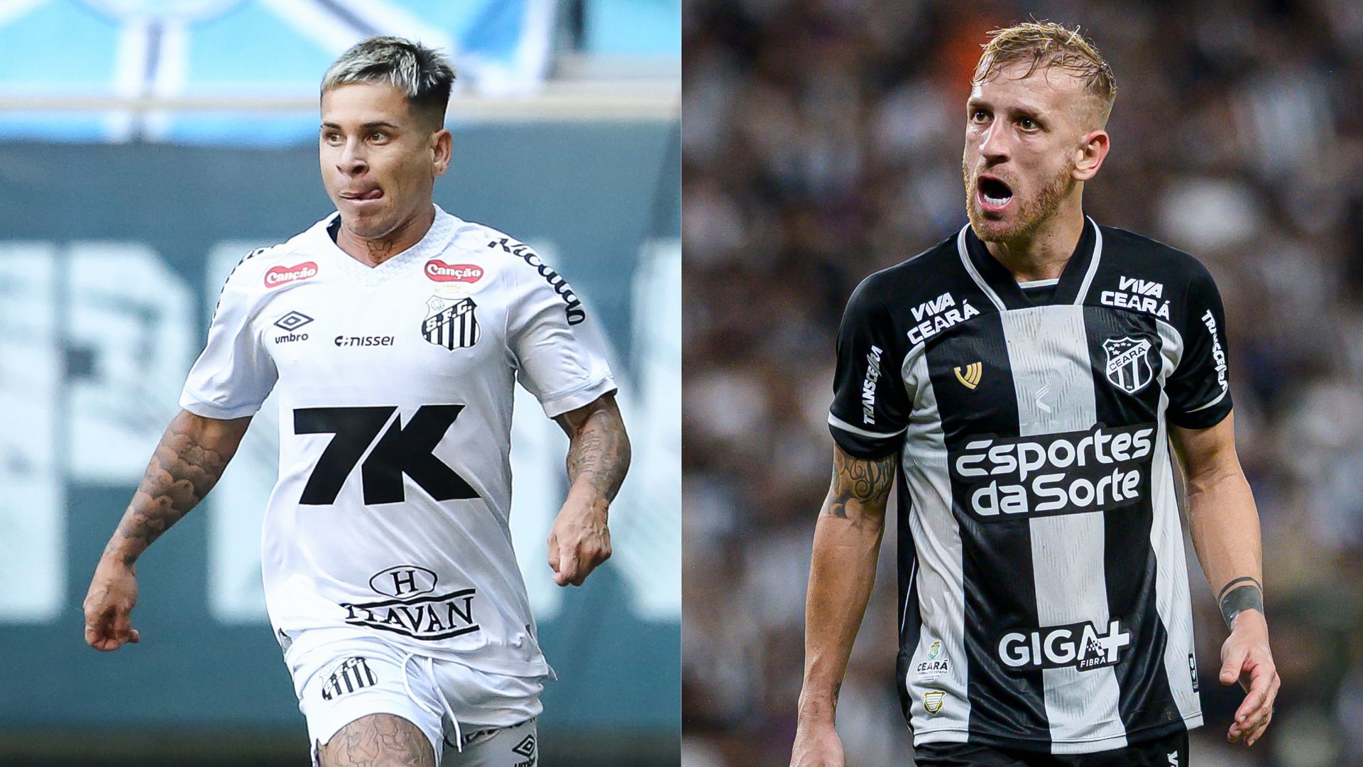 Confronto Santos x Ceará no Allianz Parque